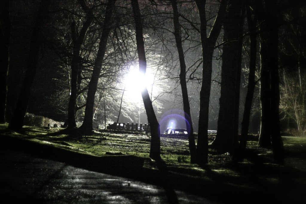 Film Nights at Castell Coch