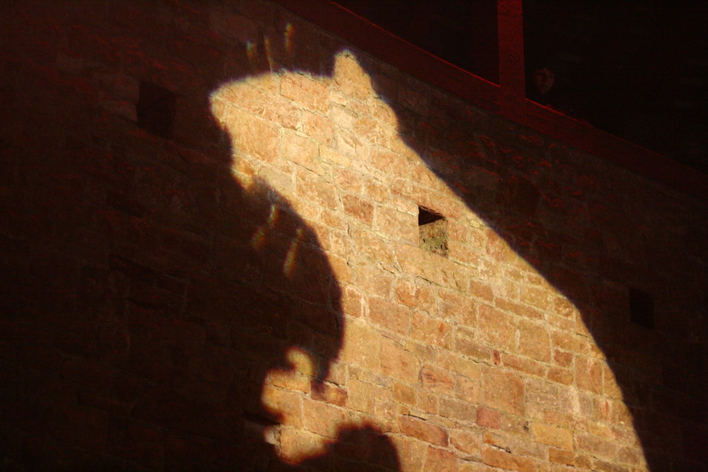 Film Nights at Castell Coch
