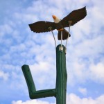 adventure play animals