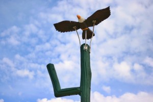 adventure play animals