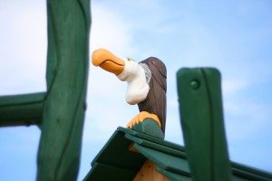 adventure play animals