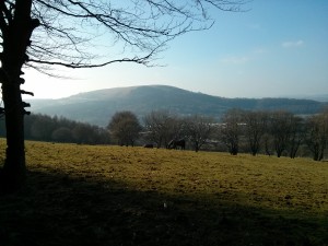 Fforest Fawr