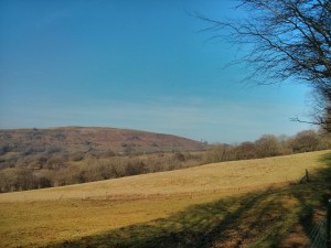 Fforest Fawr