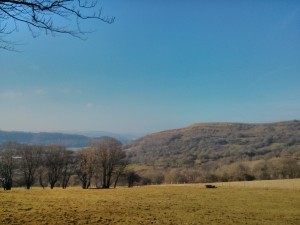 Fforest Fawr