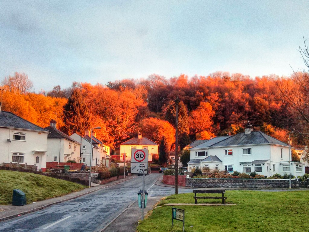 Autumn in Tongwynlais