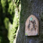 fairy forest door
