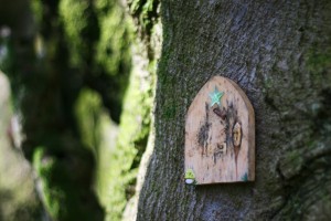 fairy forest door