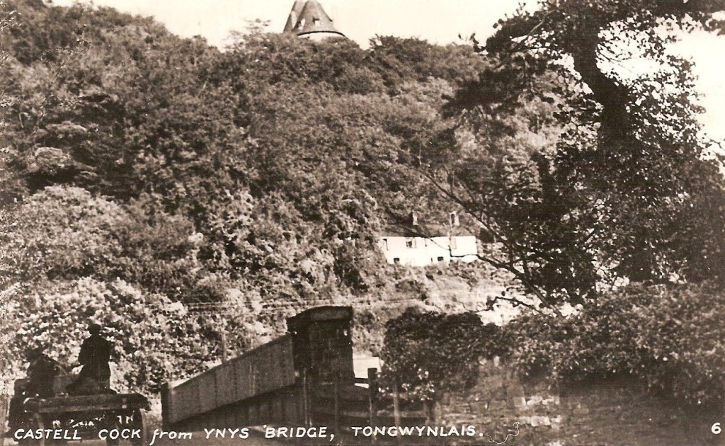Castell Coch from Ynys Bridge