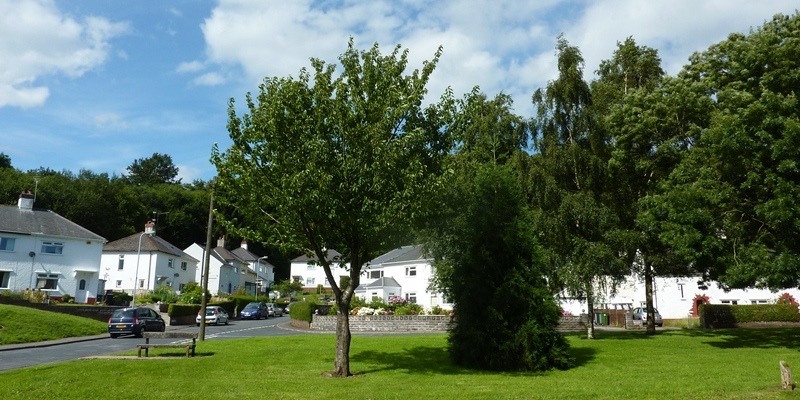 Pantgwynlais / Cae Lewis