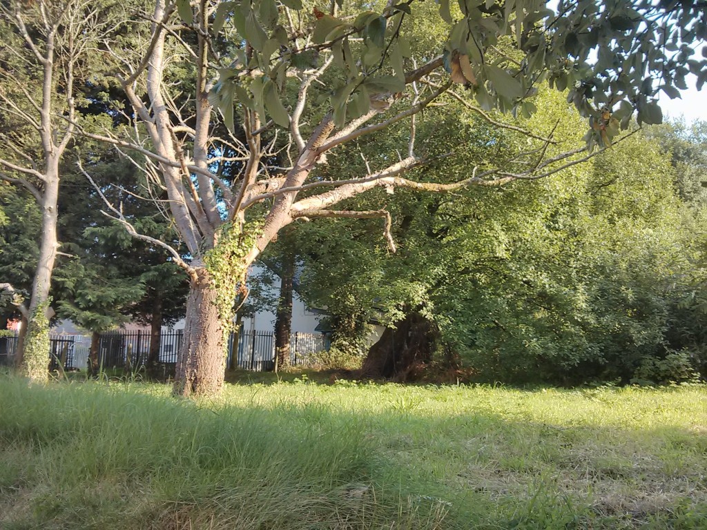 Land next to the village hall