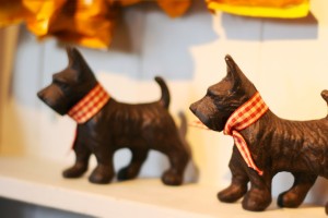 The Taff Tail dogs