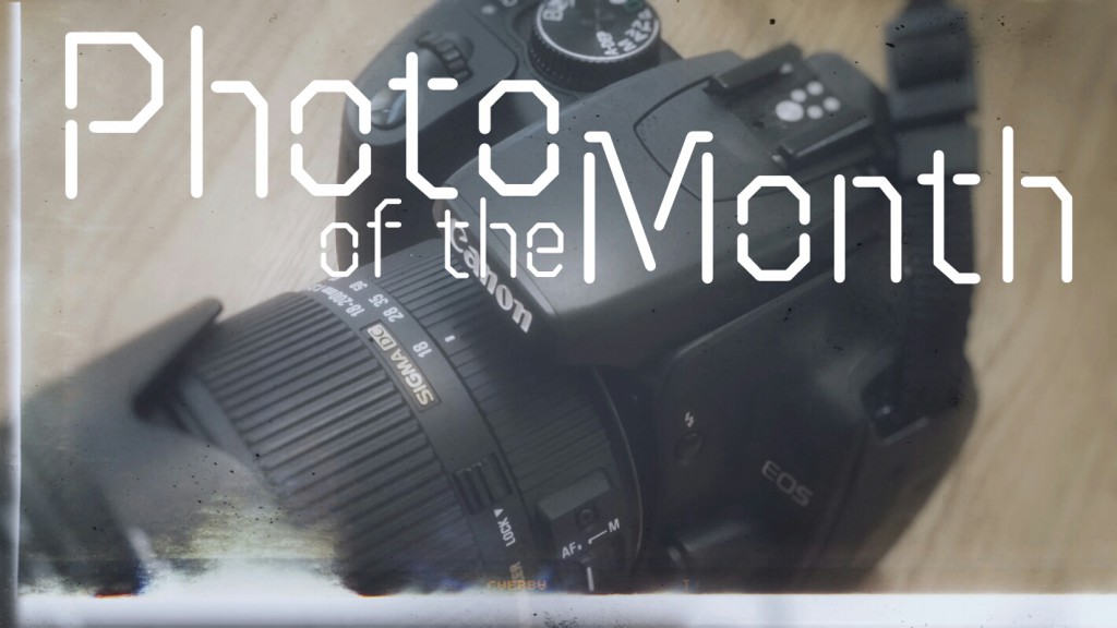 Photo of the month header