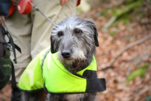 Four legged walker