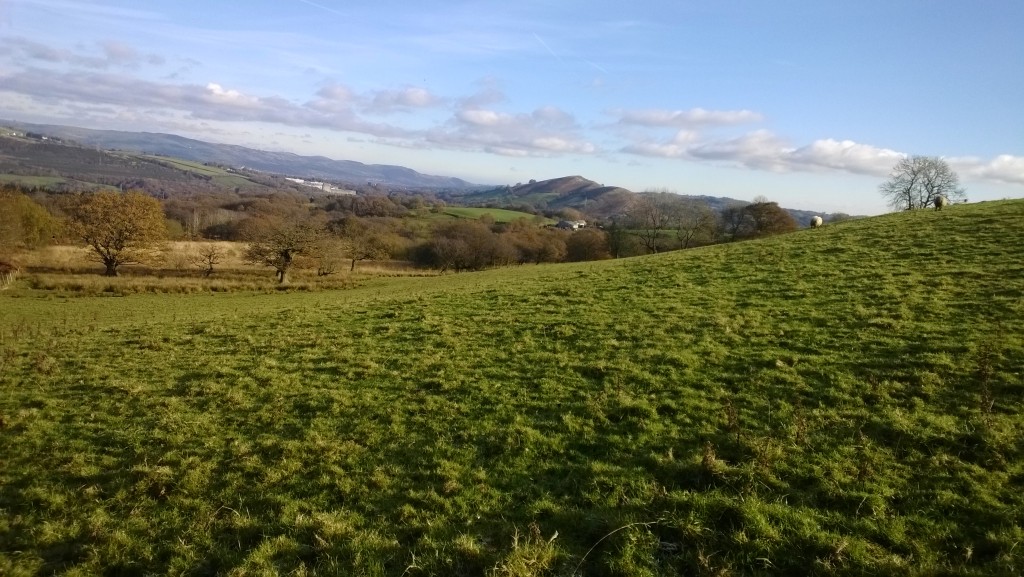 Craig Yr Allt and Mynydd Meio from the Garth