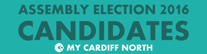 Assembly election candidates banner