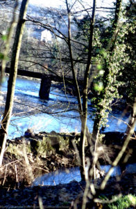 X Forge Dyke & Railway Bridge, 14/01/2001