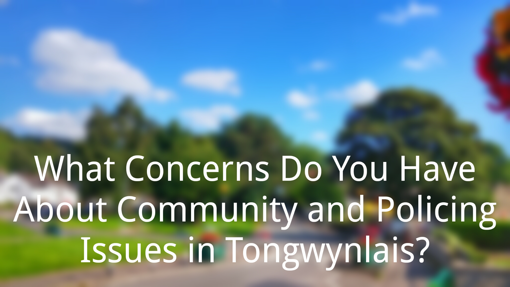 Community and Policing Issues header