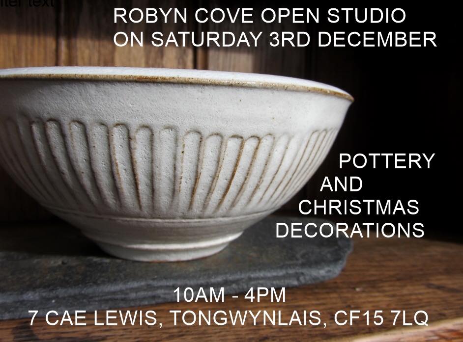 Robyn Cove poster