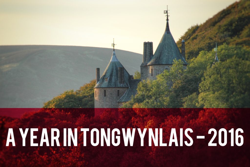 A Year in Tongwynlais 2016 header