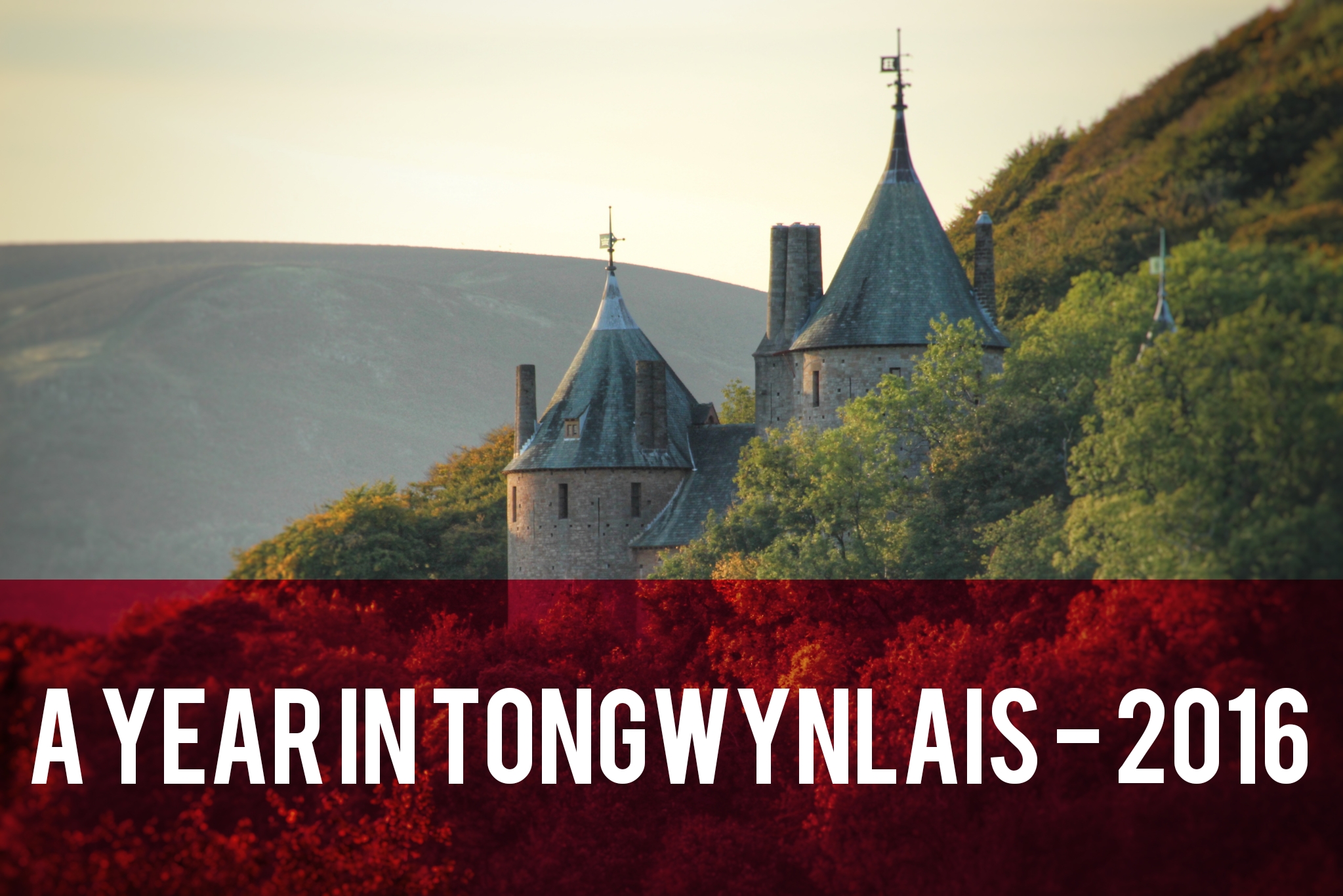 A Year in Tongwynlais 2016 header