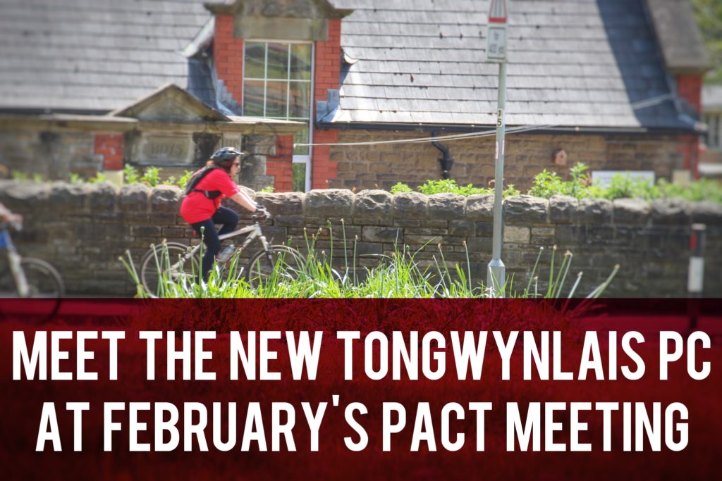 Ton PACT header