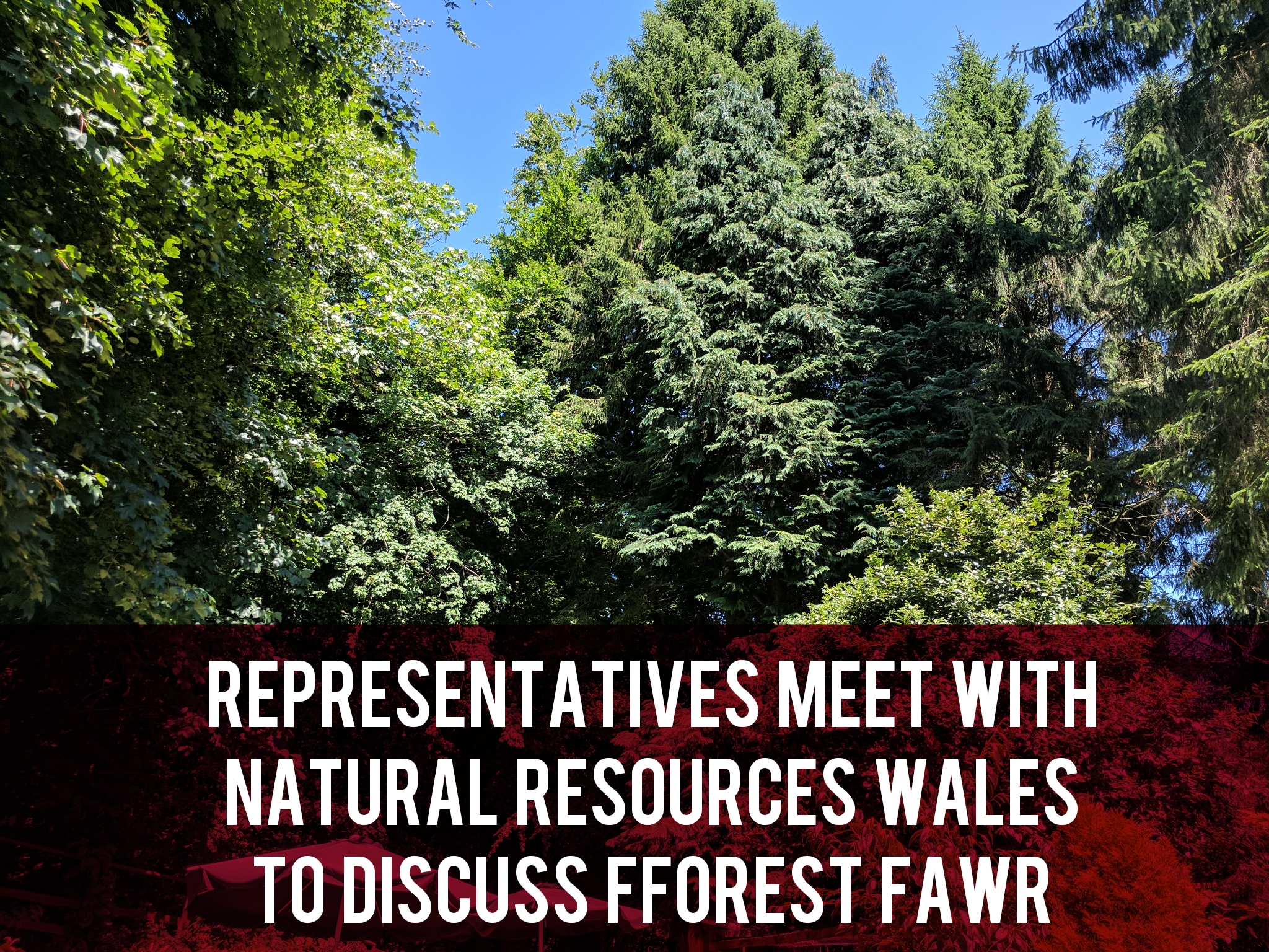 Fforest Fawr meetings header