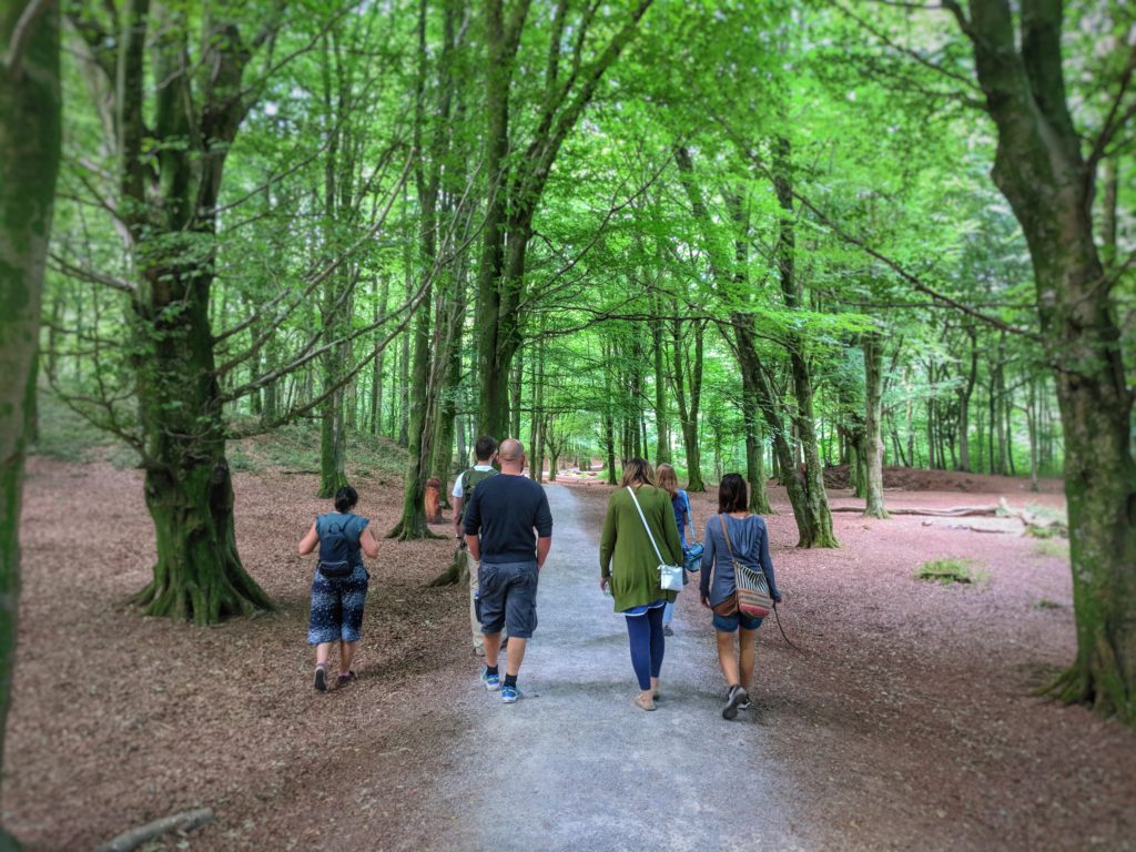 Mindful walking in Fforest Fawr