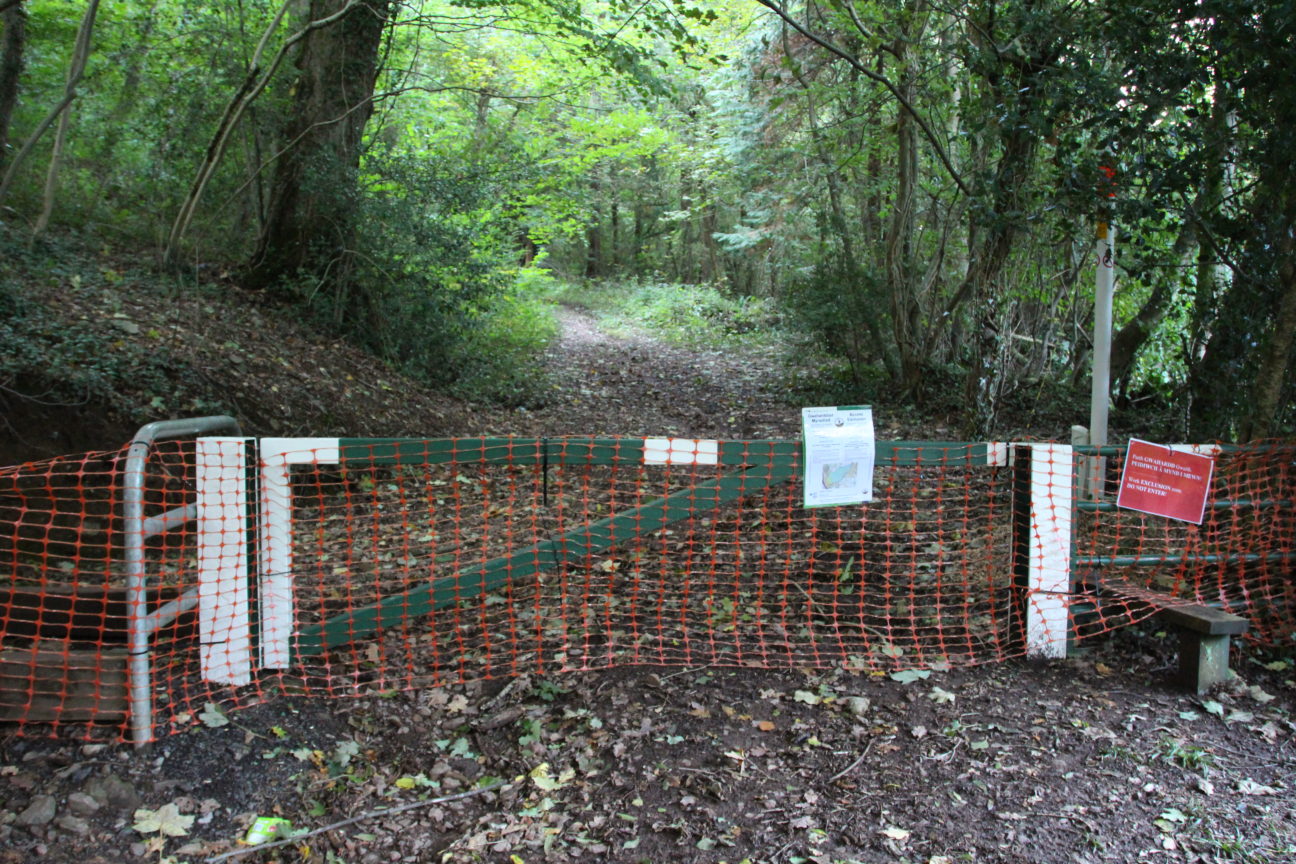 Closed path in Fforest Fawr