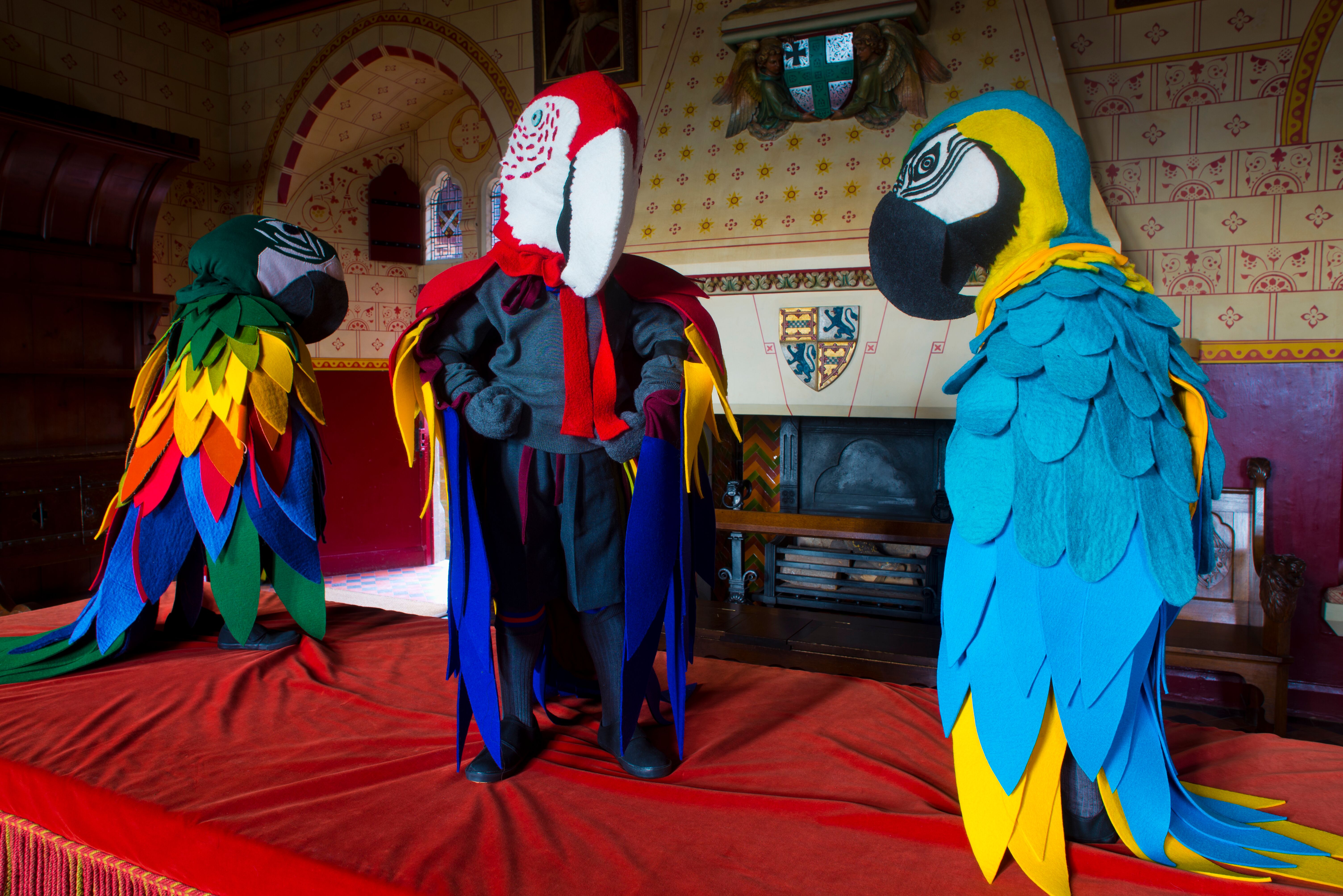 Squatters at Castell Coch