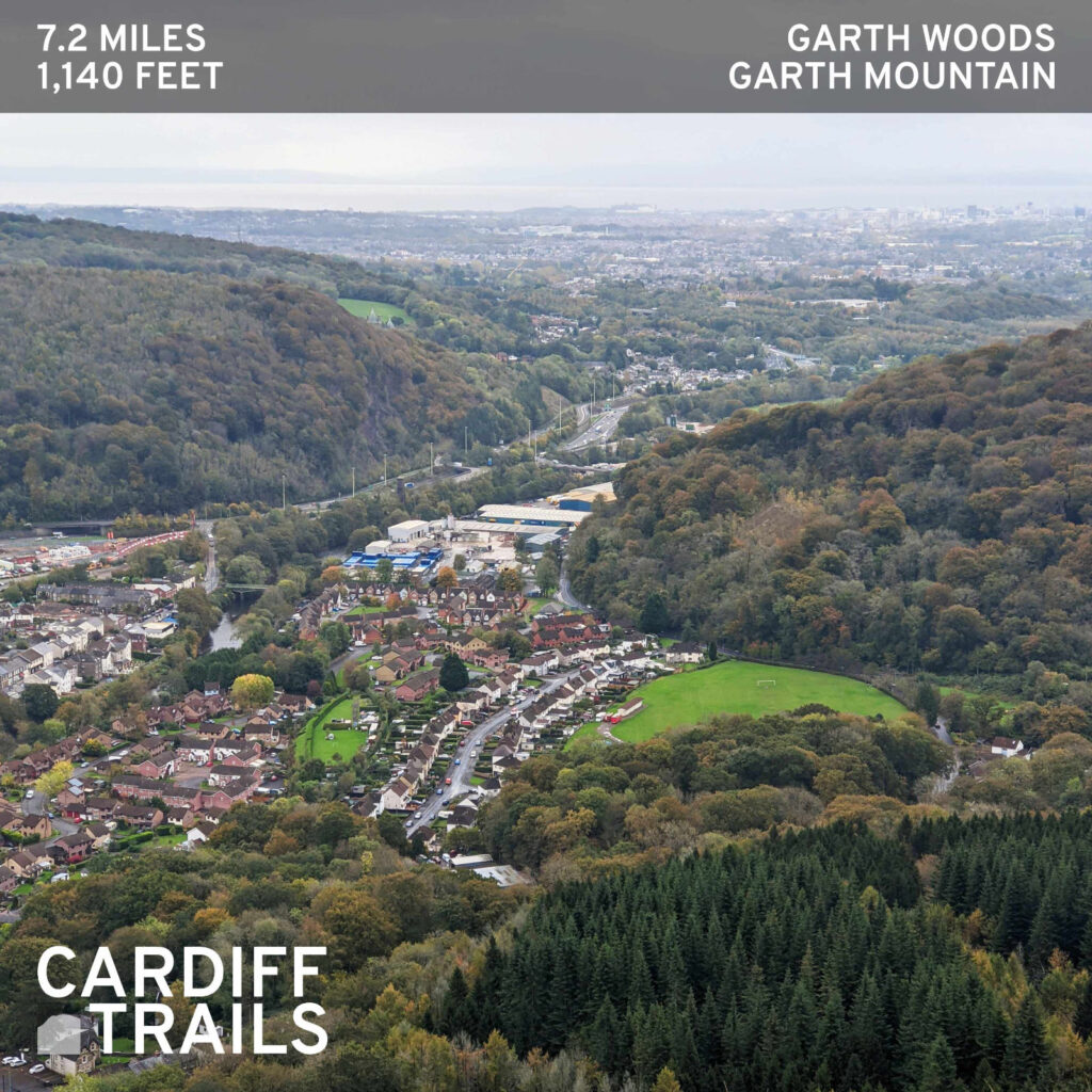View of the Taff Gorge from Garth Mountain