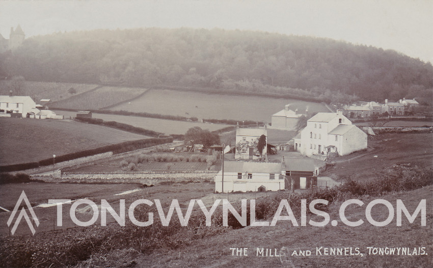 A view of an old mill, kennels and residential houses in the background