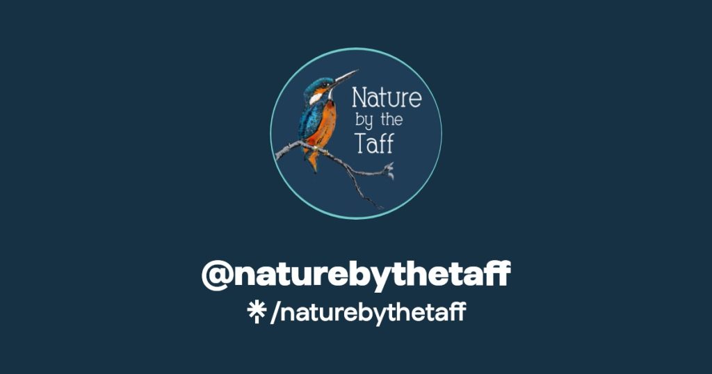 Logo for Nature by the Taff