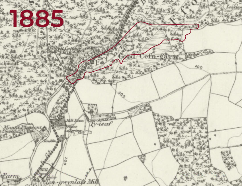 Map of Coed Cefn Garw from a map published in 1885
