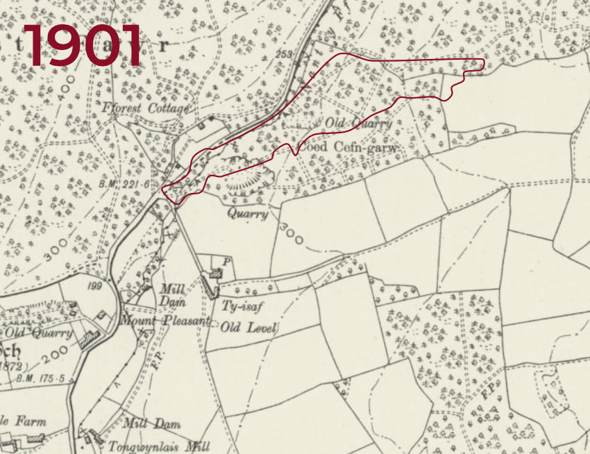 Map of Coed Cefn Garw from a map published in 1901