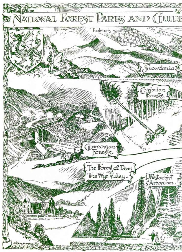 Illustration of the national forests in the UK